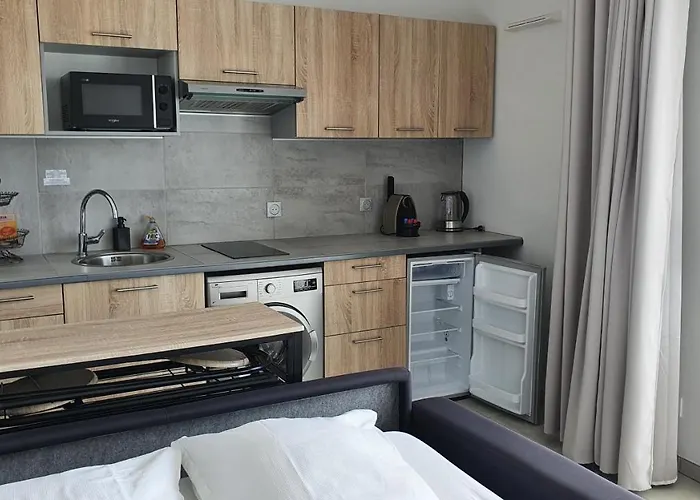 Cote Village شقة نيس